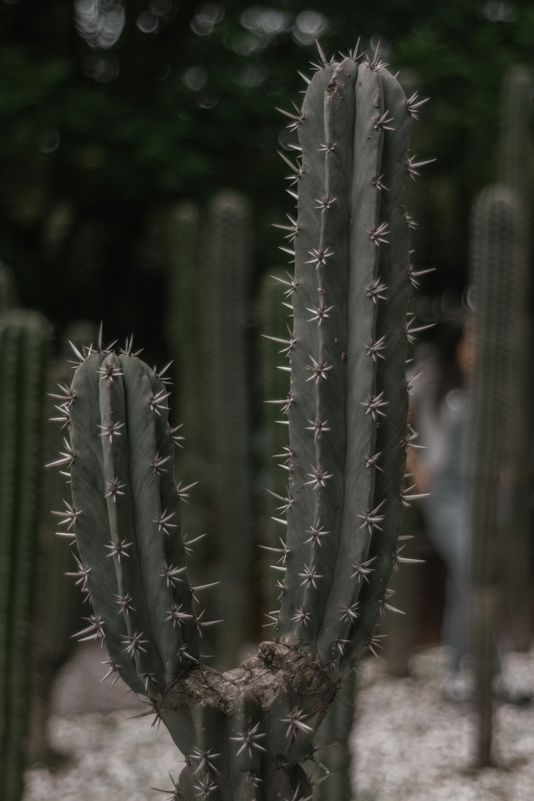 Panel de administración